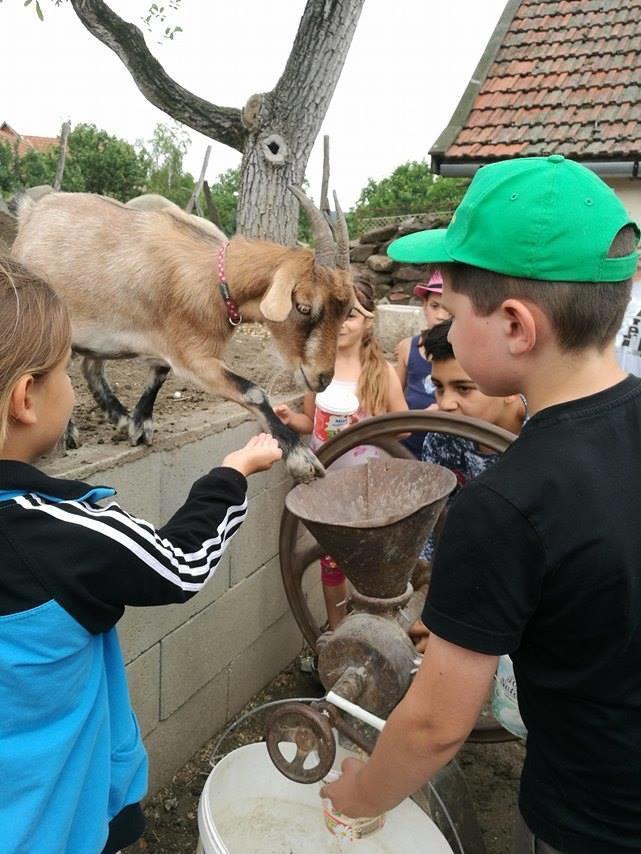 Bari Tanya Ξενοδοχείο Kisnána Εξωτερικό φωτογραφία