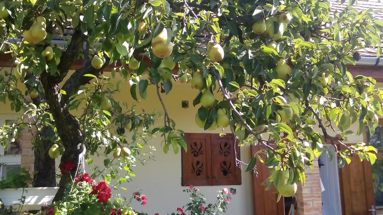 Bari Tanya Ξενοδοχείο Kisnána Εξωτερικό φωτογραφία